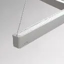 z_0000_5.webp